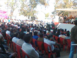 Medical Board of Alternative System of Medicines